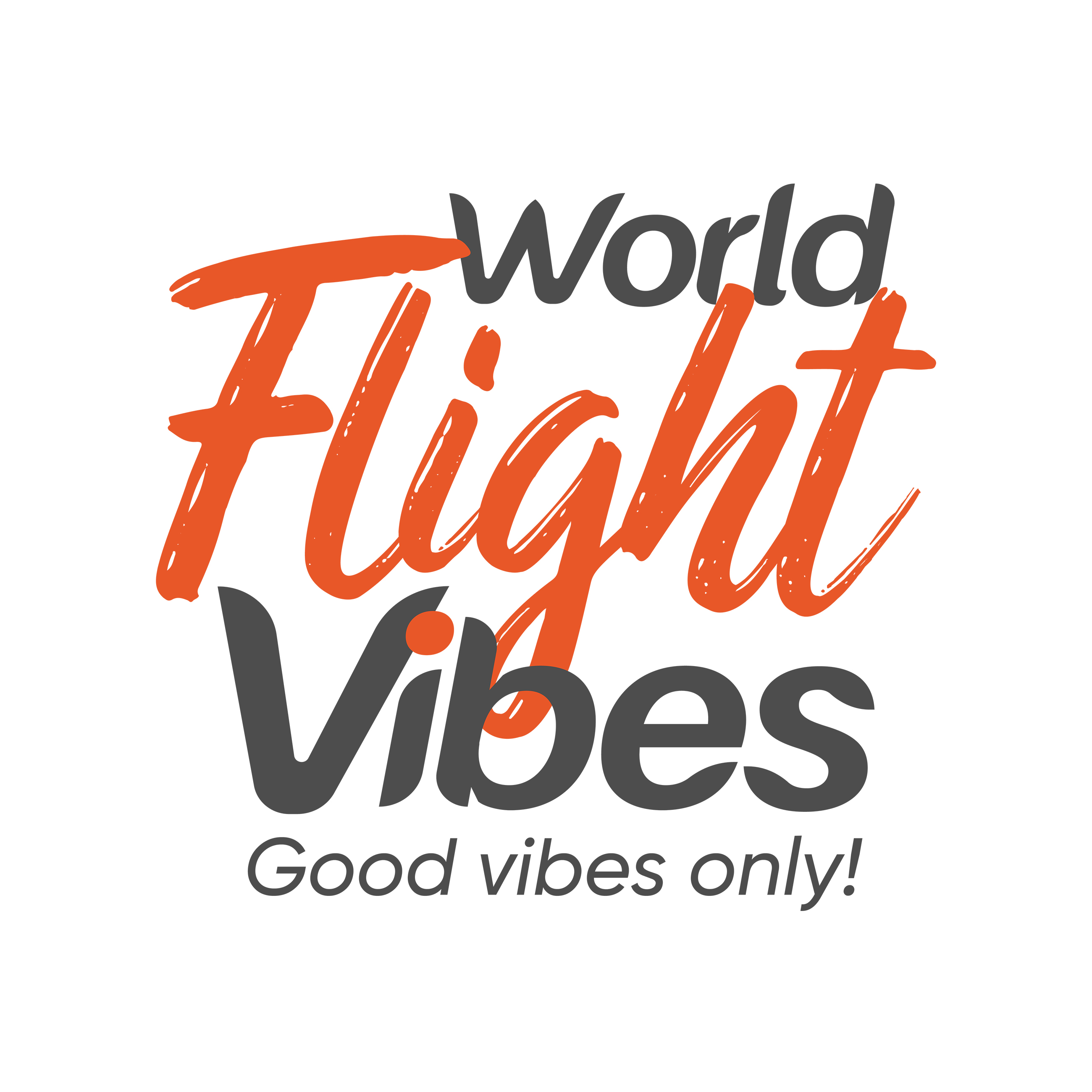 Logo of World Flight Vibes