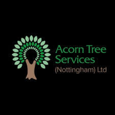 Logo of Acorn Tree Surgeon Nottingham