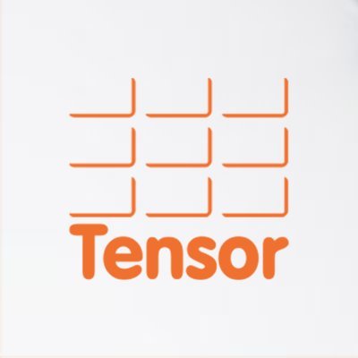 Logo of Tensor PLC Security Products And Services In St. Neots, Cambridgeshire