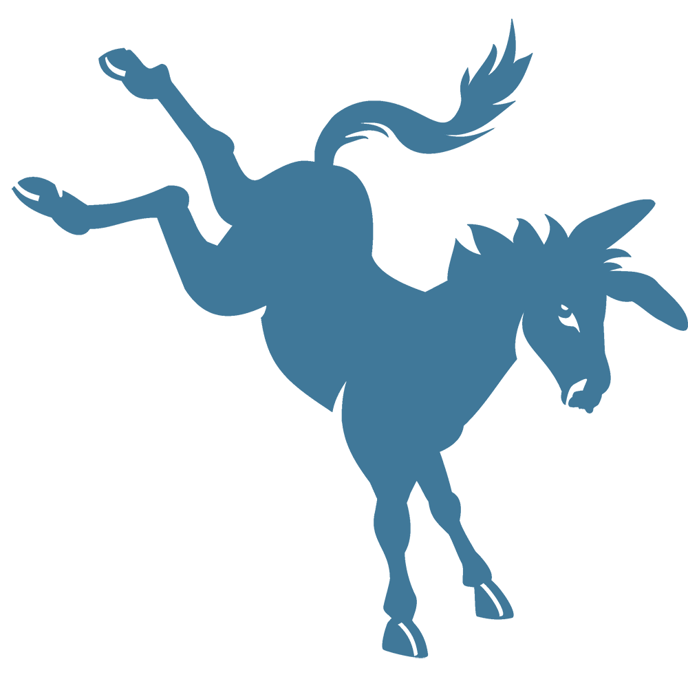 Logo of Rolf Skeldon Ltd Menswear - Retail In Machynlleth, Powys