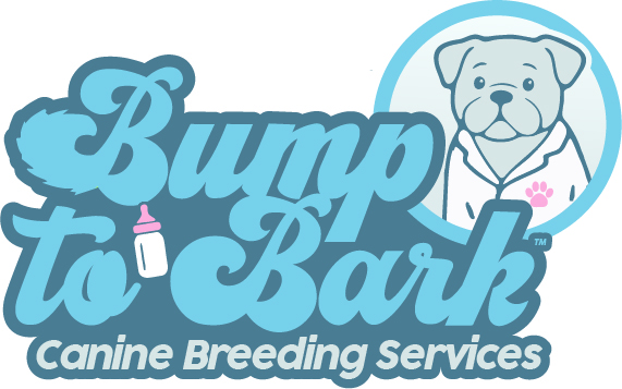 Logo of Bump to Bark Canine Breeding Services