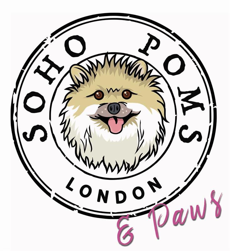 Logo of SOHOPOMS LIMITED
