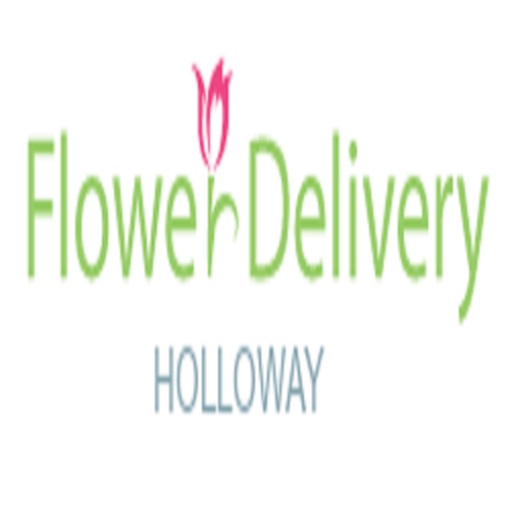 Logo of Flower Delivery Holloway