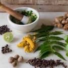 Logo of Herbs Dealer