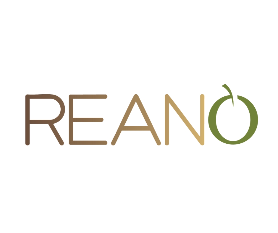 Logo of Reano LTD