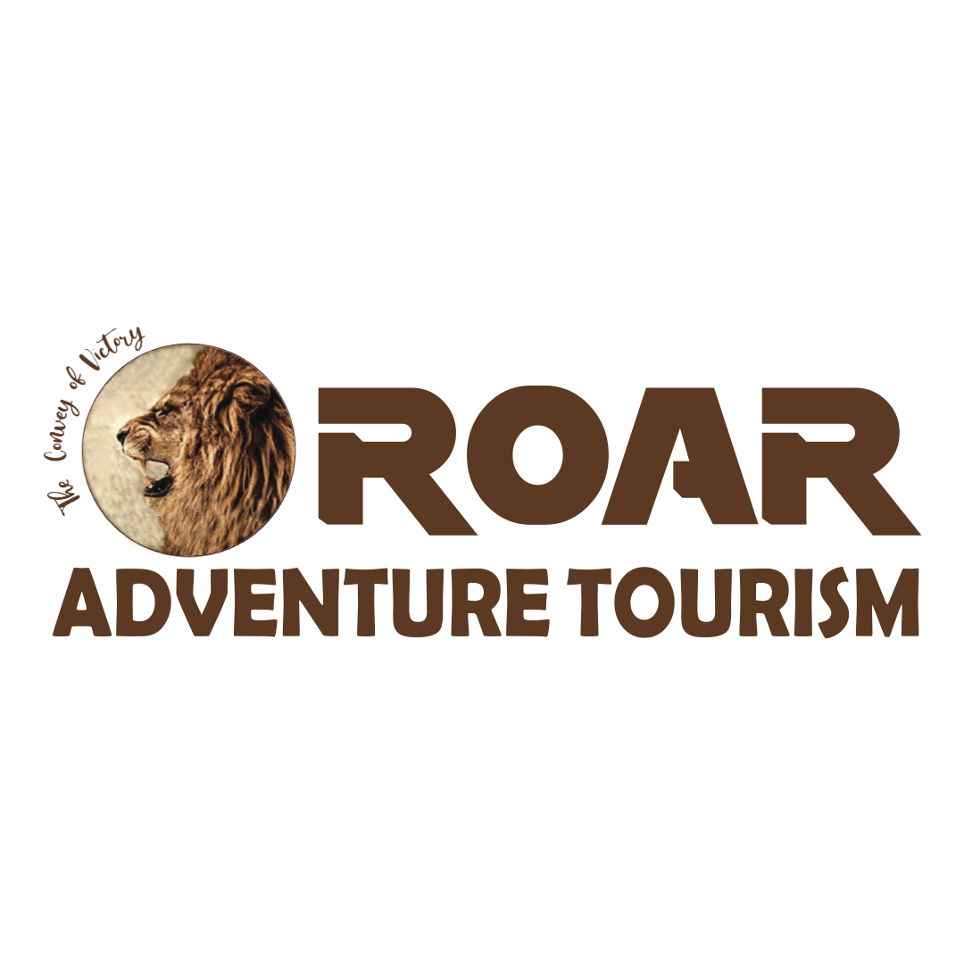Logo of Roar Adventure Tourism LLC