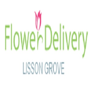 Logo of Flower Delivery Lisson Grove Flowers And Shrubs - Artificial In Marylebone, London