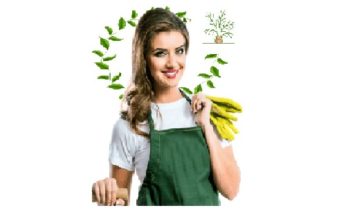 Logo of sweetvoicelandscaping