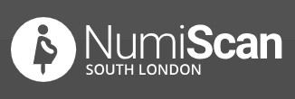 Logo of South London Numiscan