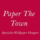 Logo of Paper The Town