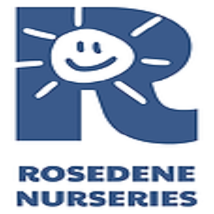 Logo of Rosedene Redcar Children's Nursery Nursery Schools In Redcar, North Yorkshire