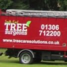 Logo of South East Tree Surgeons