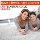 Logo of DustBlasters Cleaning Services