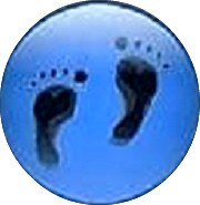 Logo of The Mobile Foot Clinic - Podiatrist in Sunderland Chiropodists Podiatrists In Sunderland, Tyne And Wear