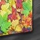 Logo of Photos printed on canvas Picture And Photo Framing Services In Darwen, Lancashire Logo of Photos printed on canvas Picture And Photo Framing Services In Darwen, Lancashire