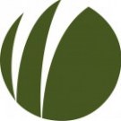 Logo of Synthetic Turf Management Ltd STM