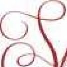 Logo of Special Shaadi Cards