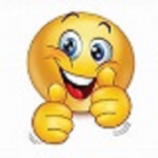 Logo of Health Lifestyle Supplements UK online only