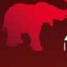 Logo of Shad Indian Restaurant