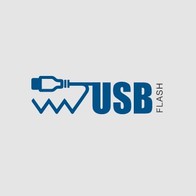 Logo of USB Flash Ltd Computer Hardware In Manningtree, Essex