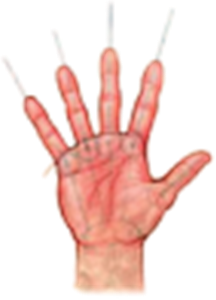 Logo of Osteopathy For All