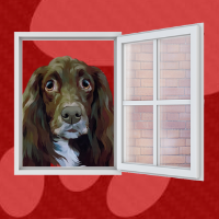 Logo of Lolas House Dog Walkers In Burton Upon Trent, Staffordshire