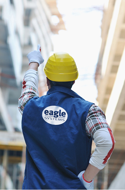 Logo of Eagle Systems