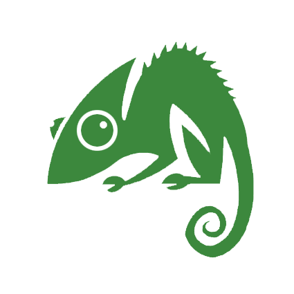Logo of Chameleon Web Services