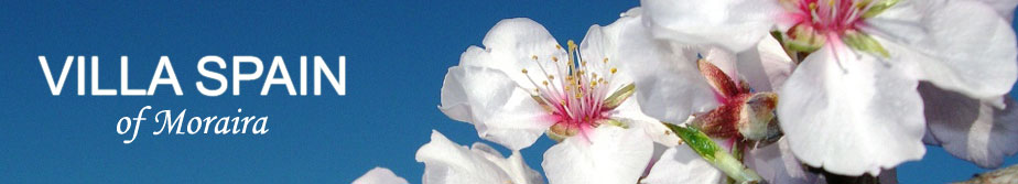 Logo of Villa Spain of Moraira