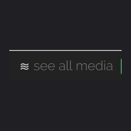 Logo of See All Media