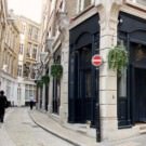 Logo of The Duke and Duchess