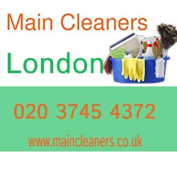 Logo of Main Cleaners London