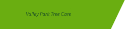 Logo of Valley Park Tree Care