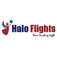 Logo of httpshaloflightscouk