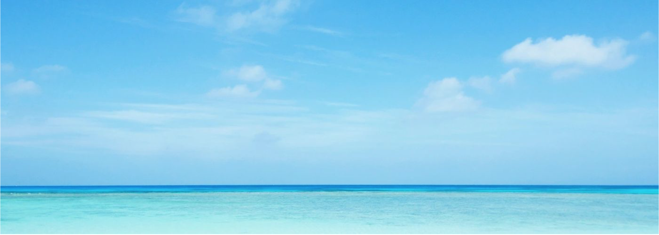 Logo of Tigra Chartered Accountants