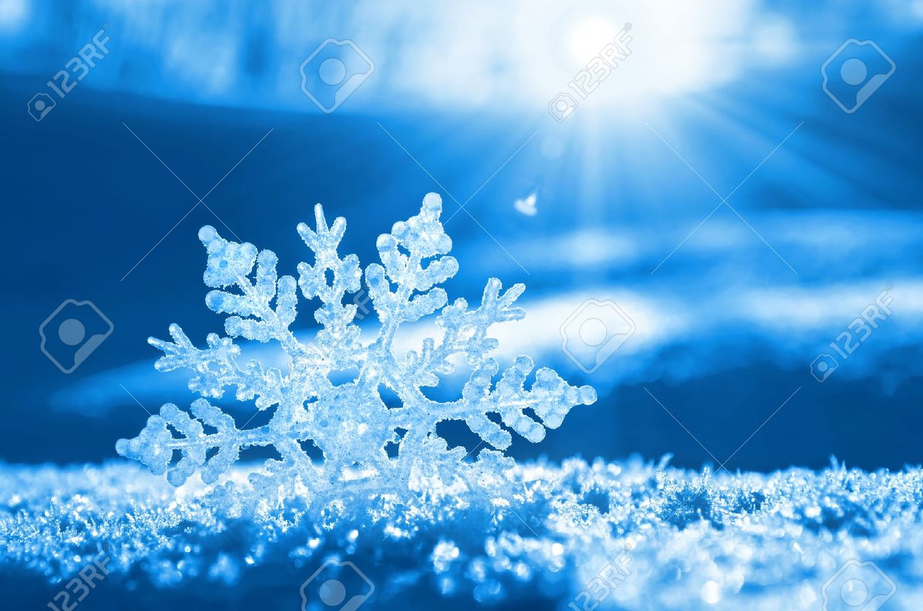 Logo of Hal Training Services