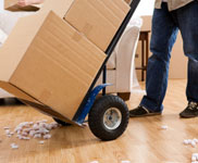 Logo of Sussex Removals