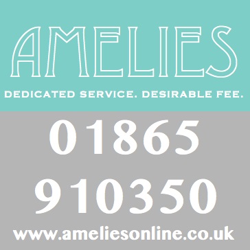 Logo of Amelies Estate Agent
