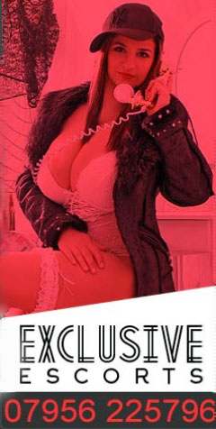 Logo of Exclusive Escorts Cambridge