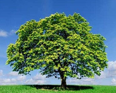 Logo of Adept Technical Solutions Ltd