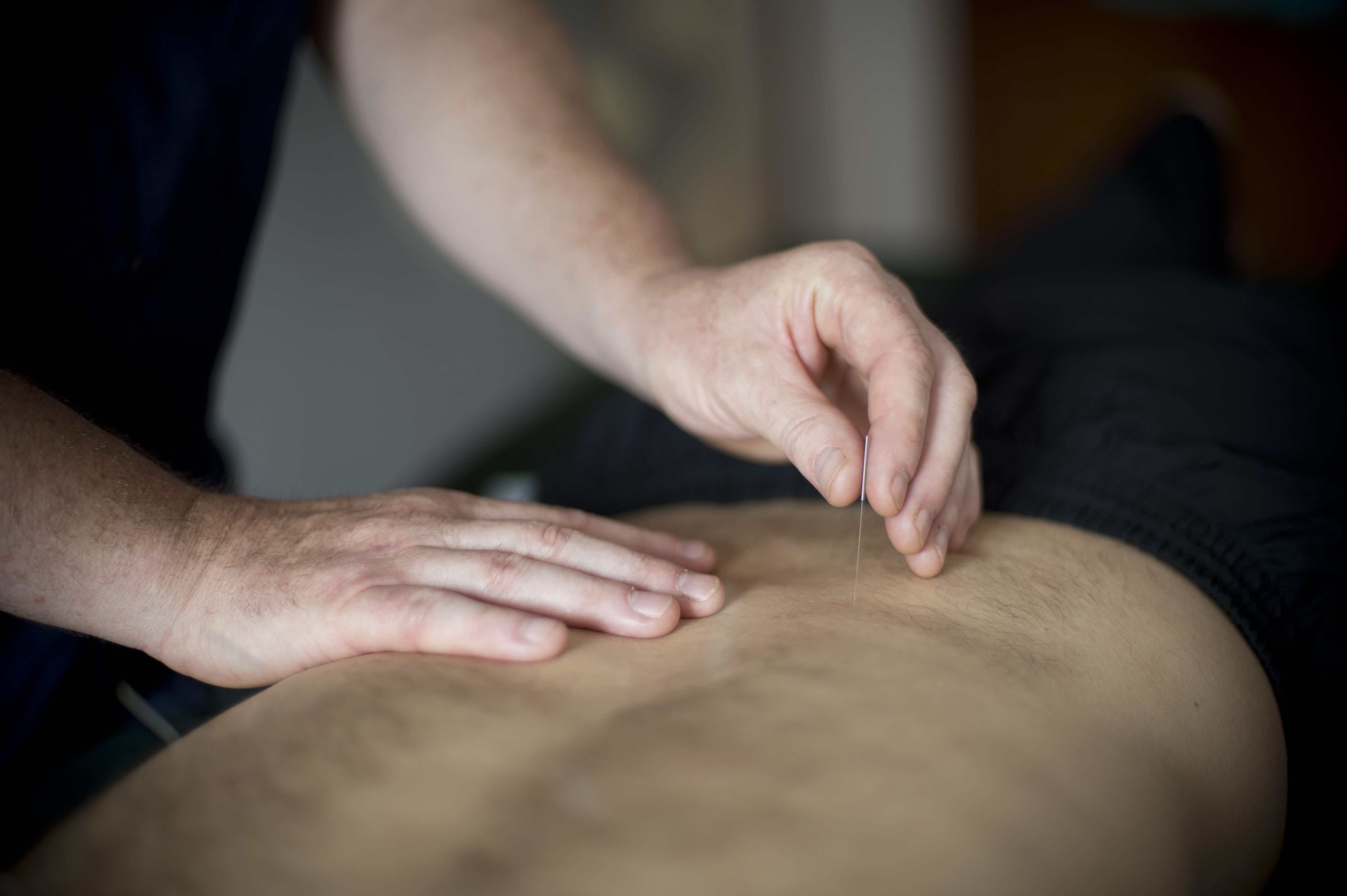 Logo of Steve Coster Acupuncture