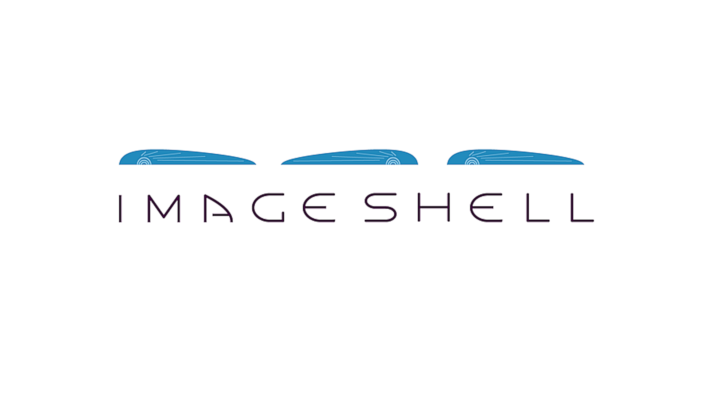 Logo of Longlyre Ltd ImageShell