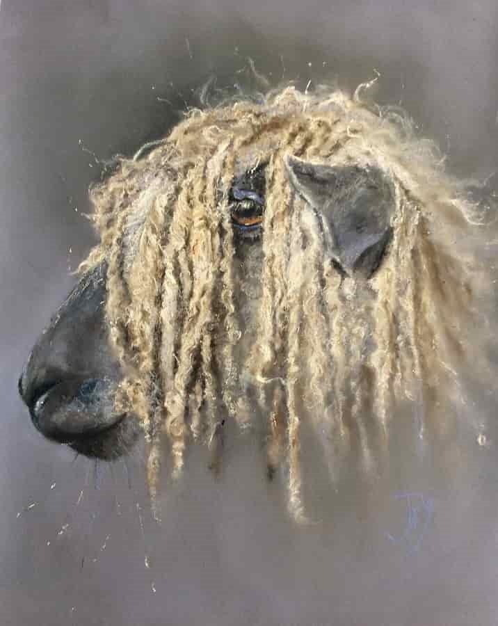 Logo of Jo Penny Yeaman Art Artists And Illustrators In Sidmouth, Devon