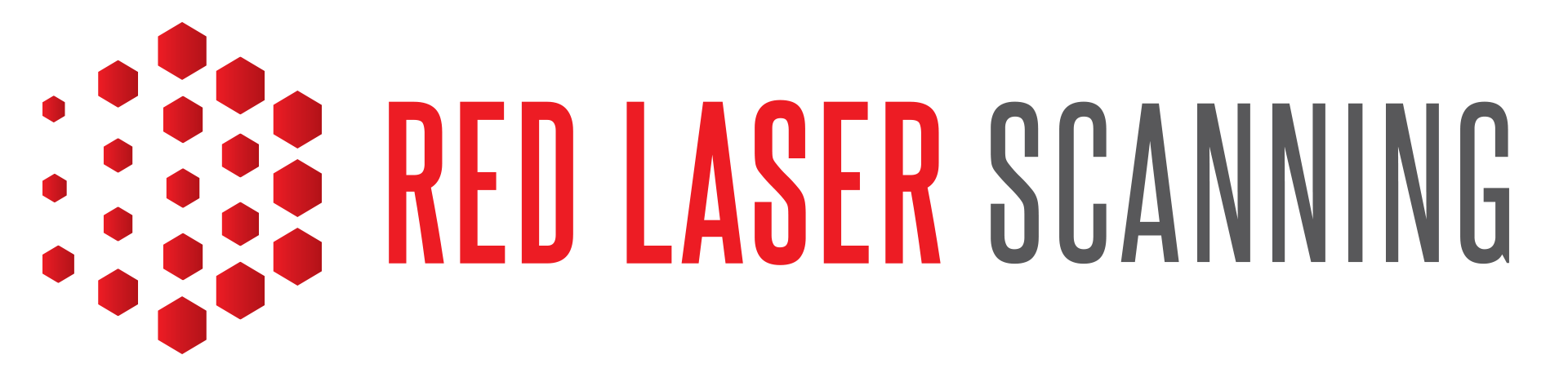 Logo of Red Laser Scanning