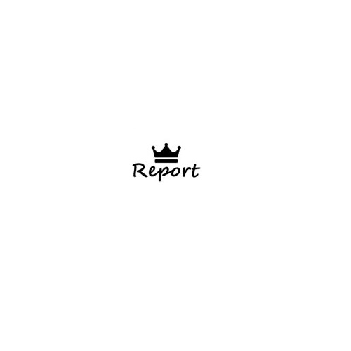 Logo of Report King