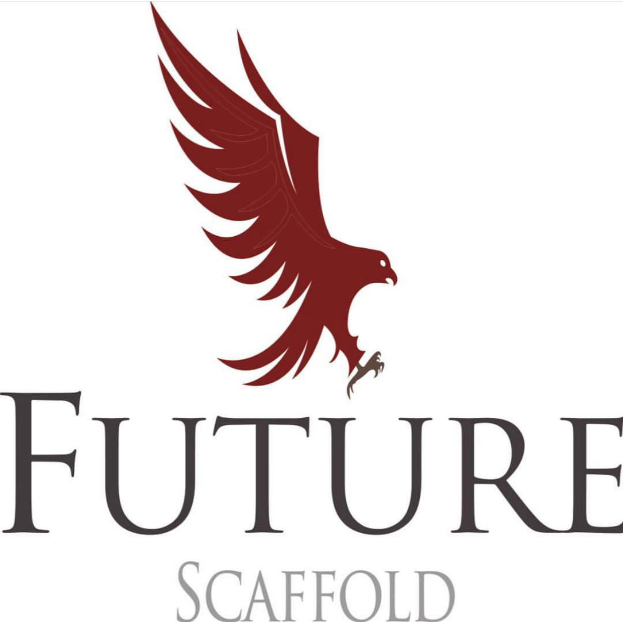 Logo of Future Scaffold Ltd Scaffolding Erectors And Hirers In Littlehampton, West Sussex