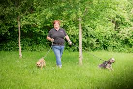 Logo of Bristol dog walker