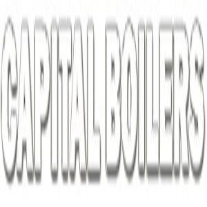 Logo of Capital Boilers