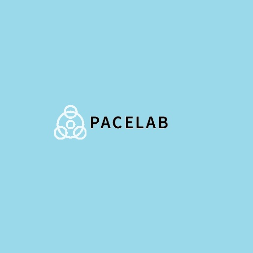 Logo of Pacelab Technology Private Limited