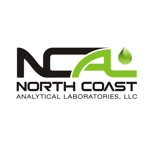 Logo of Direct Submit Internet Marketing Services